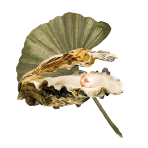 our-daily-breath-oyster-leaf