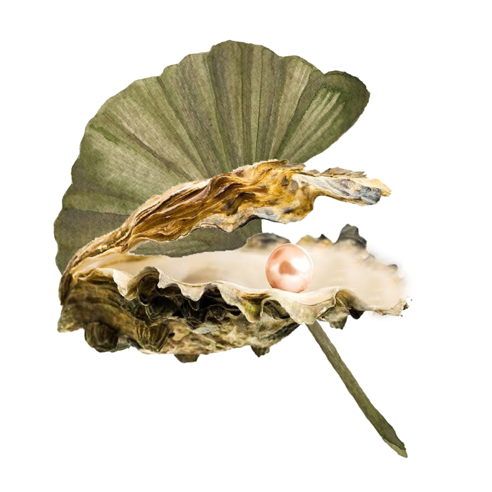 our-daily-breath-oyster-leaf