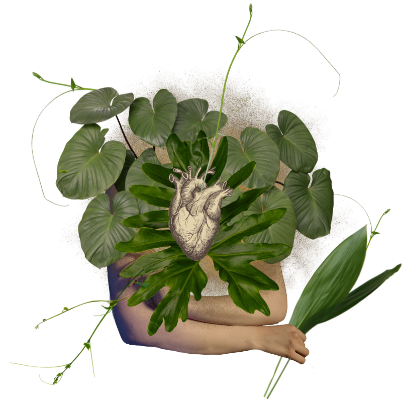 heart-coherence-body-edited