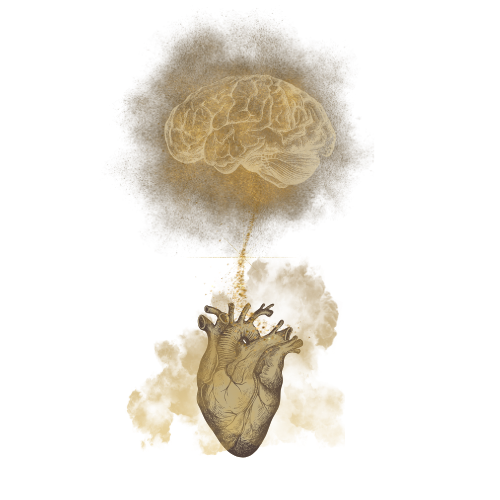 heart coherence placeholder 2