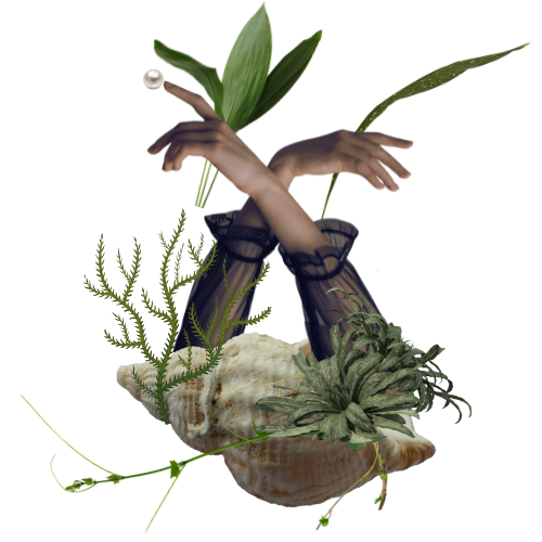 plant body 6