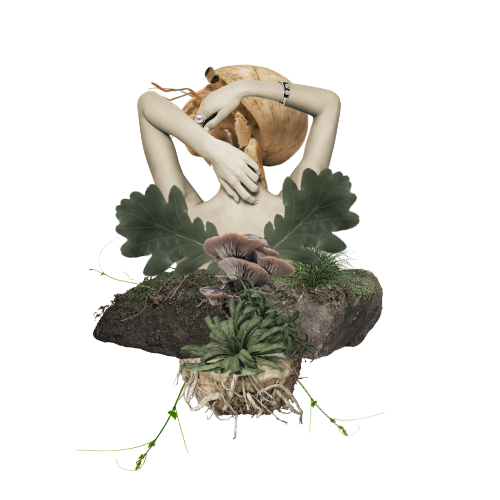 self ceremony post 11